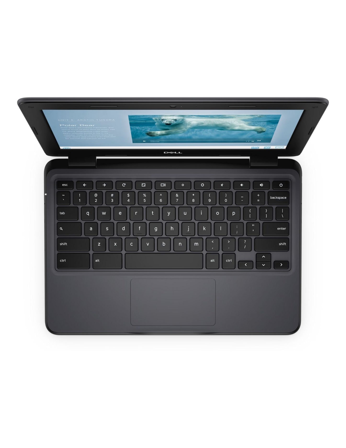 Dream Guide & Chromebook Package (Ages 13+)